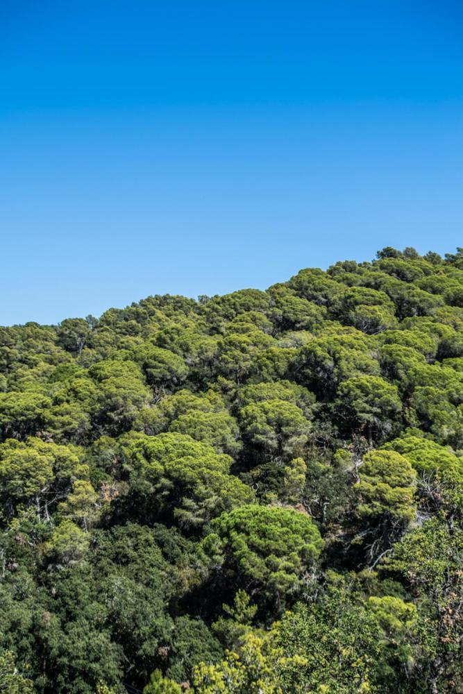 Camping Sunissim Cala Llevado 4 By Locatour Hotel Tossa de Mar Bagian luar foto