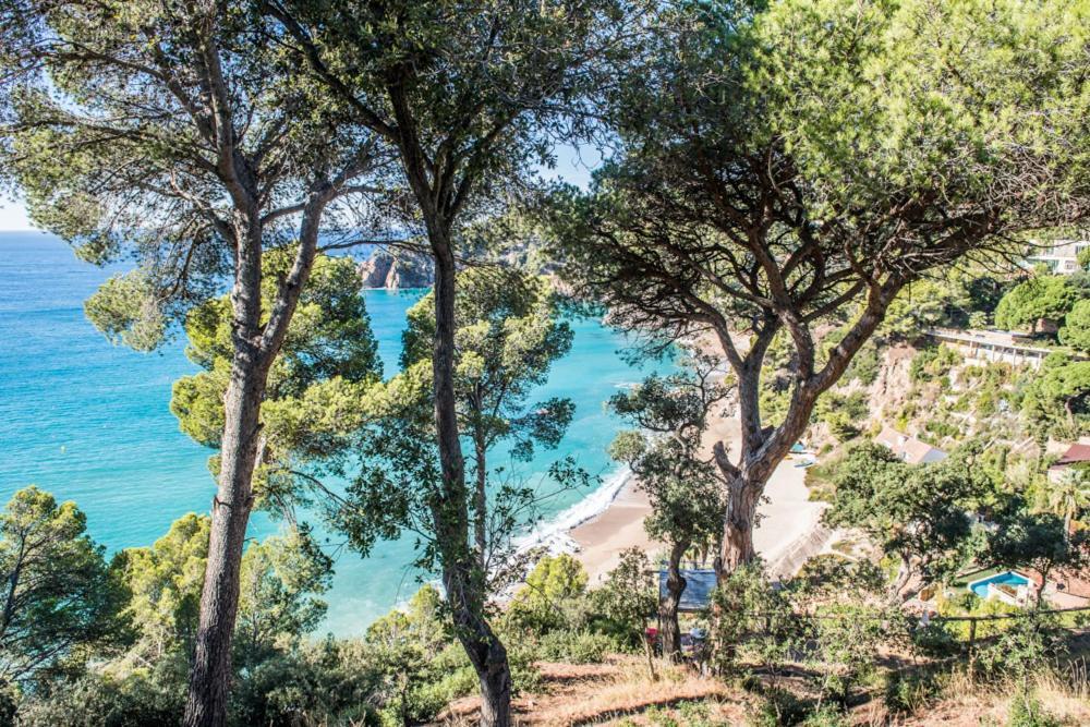 Camping Sunissim Cala Llevado 4 By Locatour Hotel Tossa de Mar Bagian luar foto